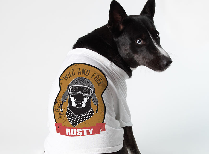 Apparel Transfer Jacket of School Mascot Tiger